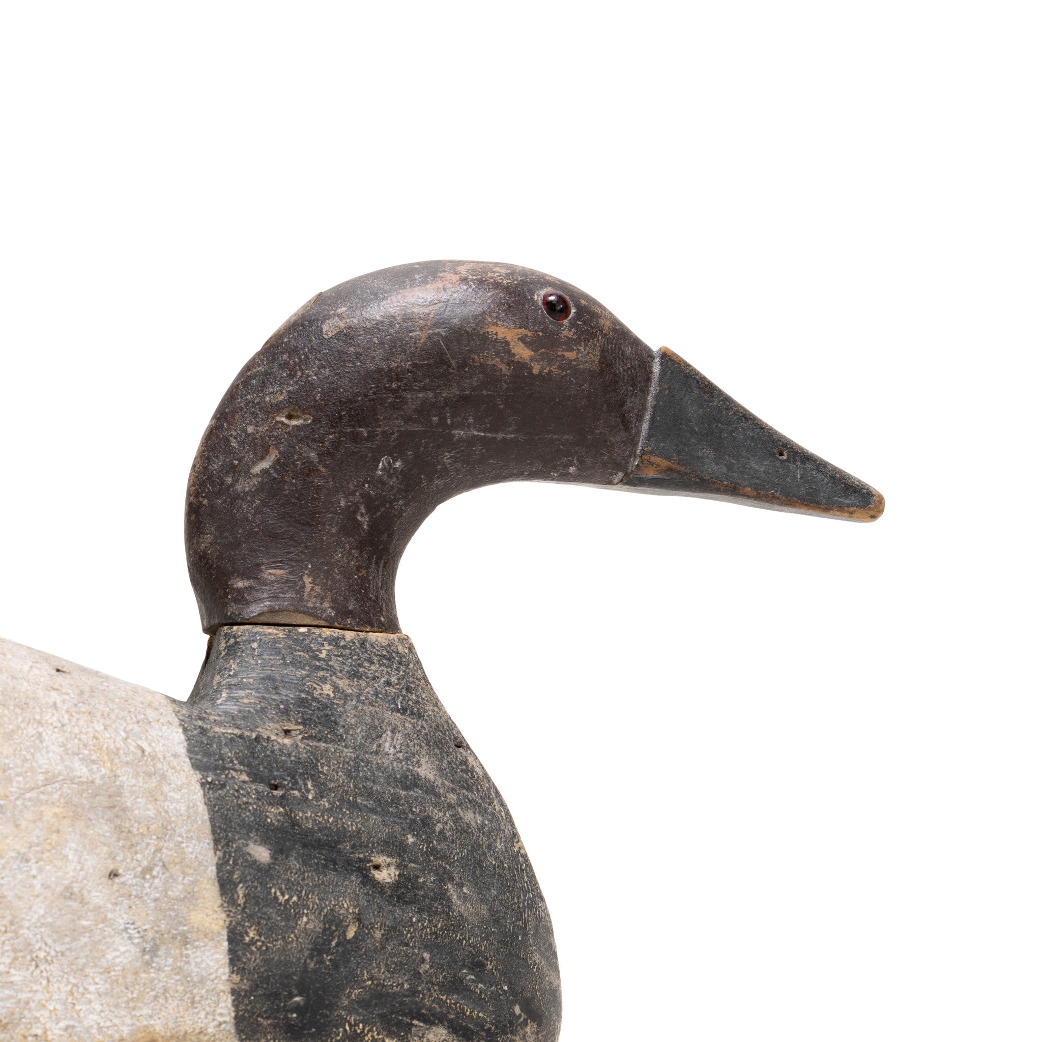 Canvasback Drake Decoy
