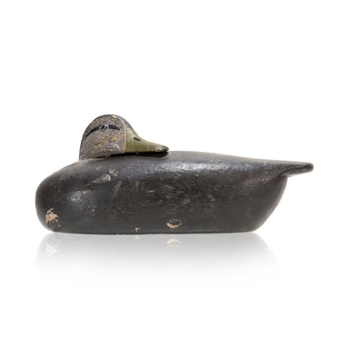 Black Duck Sleeper by Doug Taubert, Sporting Goods, Hunting, Waterfowl Decoy