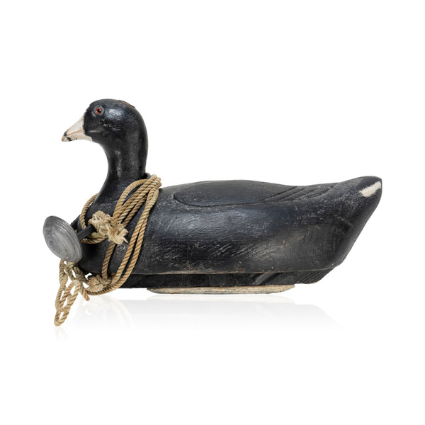 Pat Farrel Coot Decoy, Sporting Goods, Hunting, Waterfowl Decoy