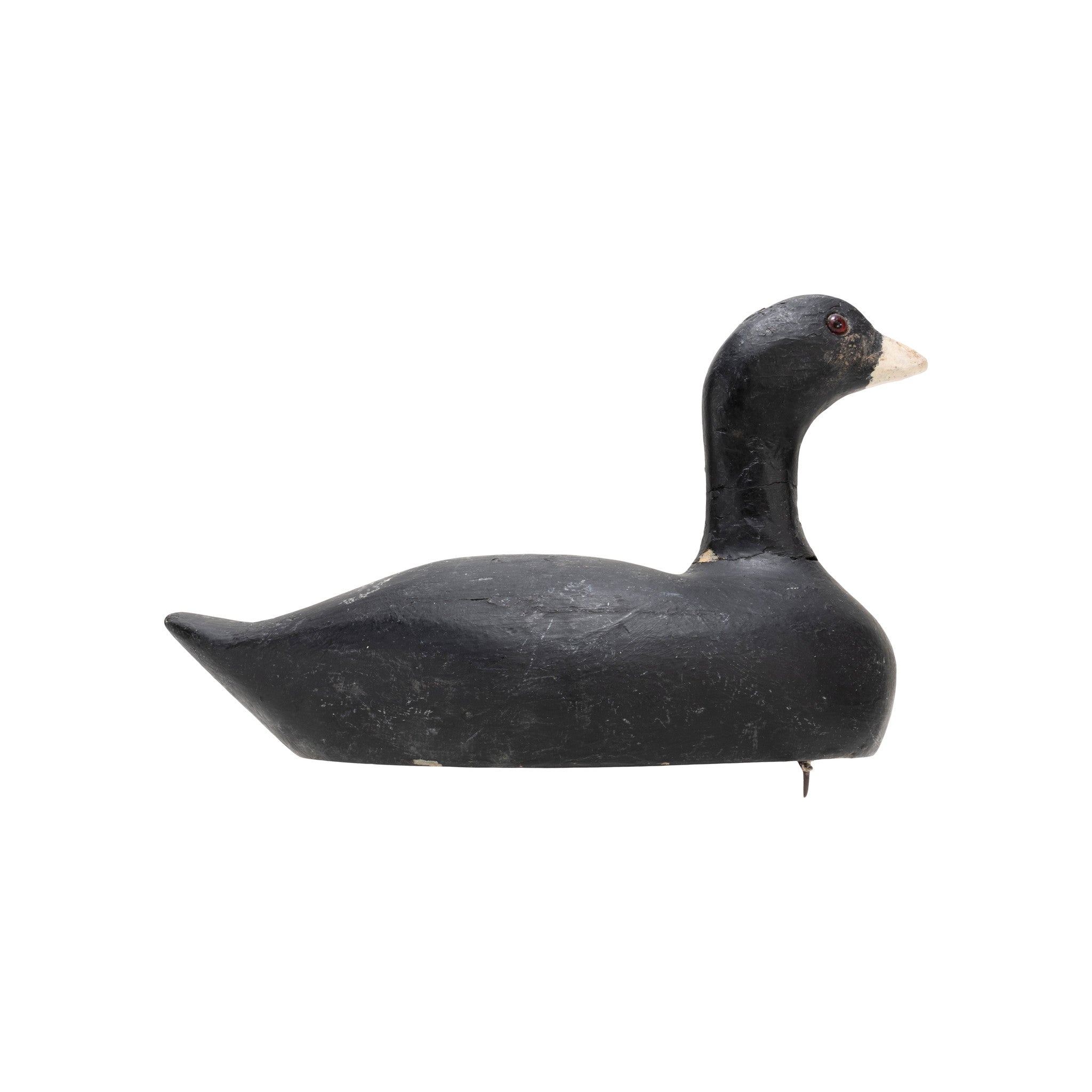 Gus Nelow Coot Decoy