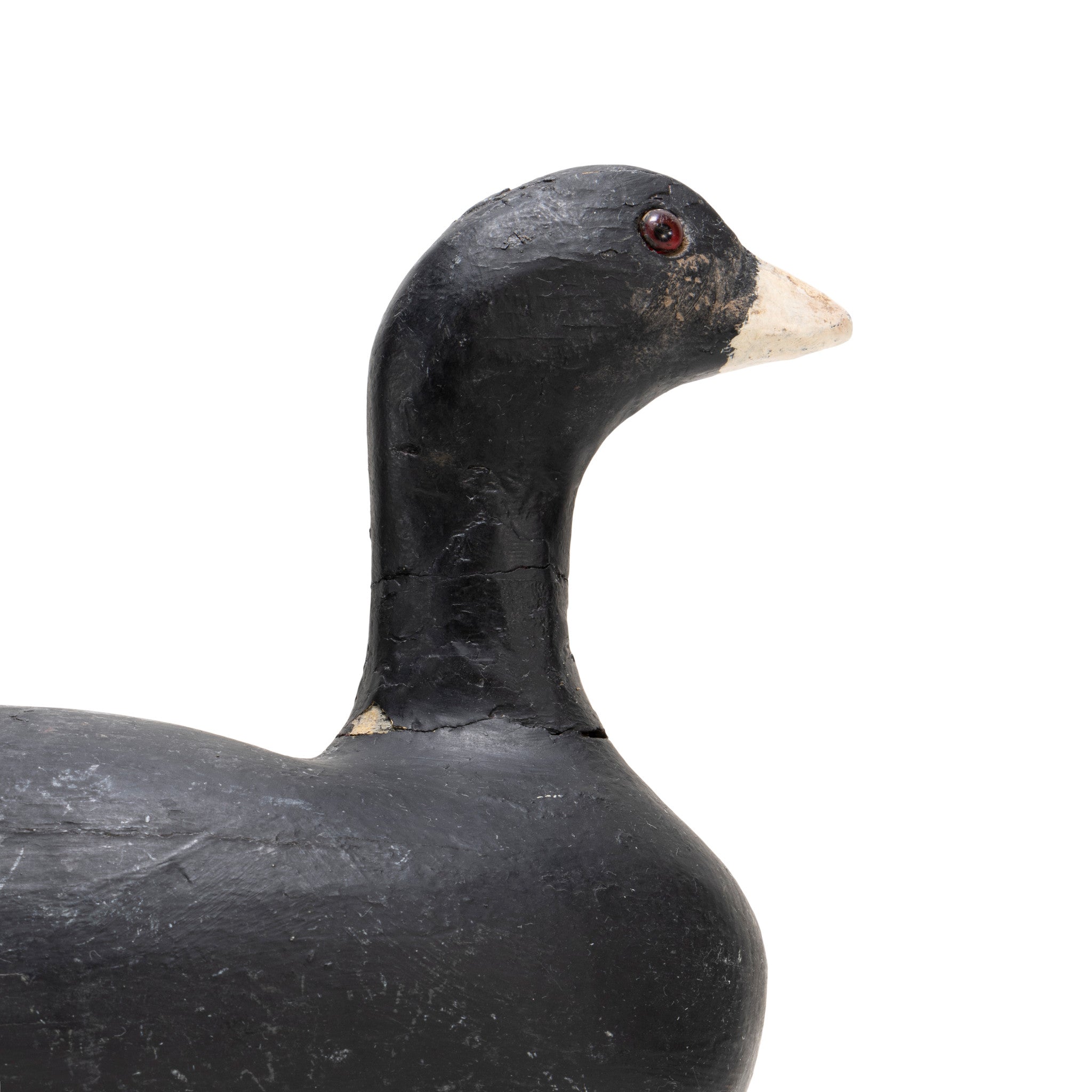 Gus Nelow Coot Decoy