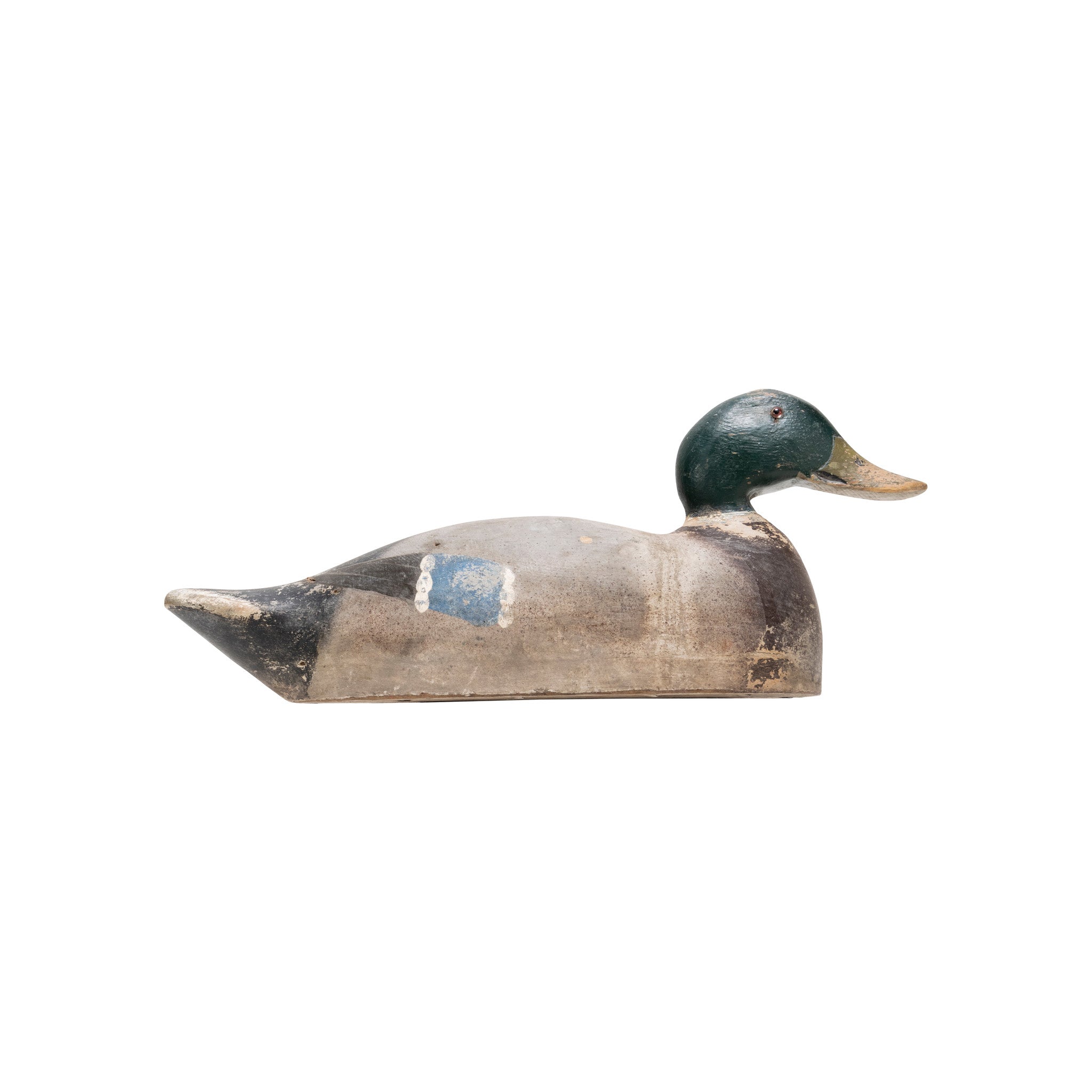Drake Mallard