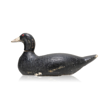 Pratt Factory Coot Decoy, Sporting Goods, Hunting, Waterfowl Decoy