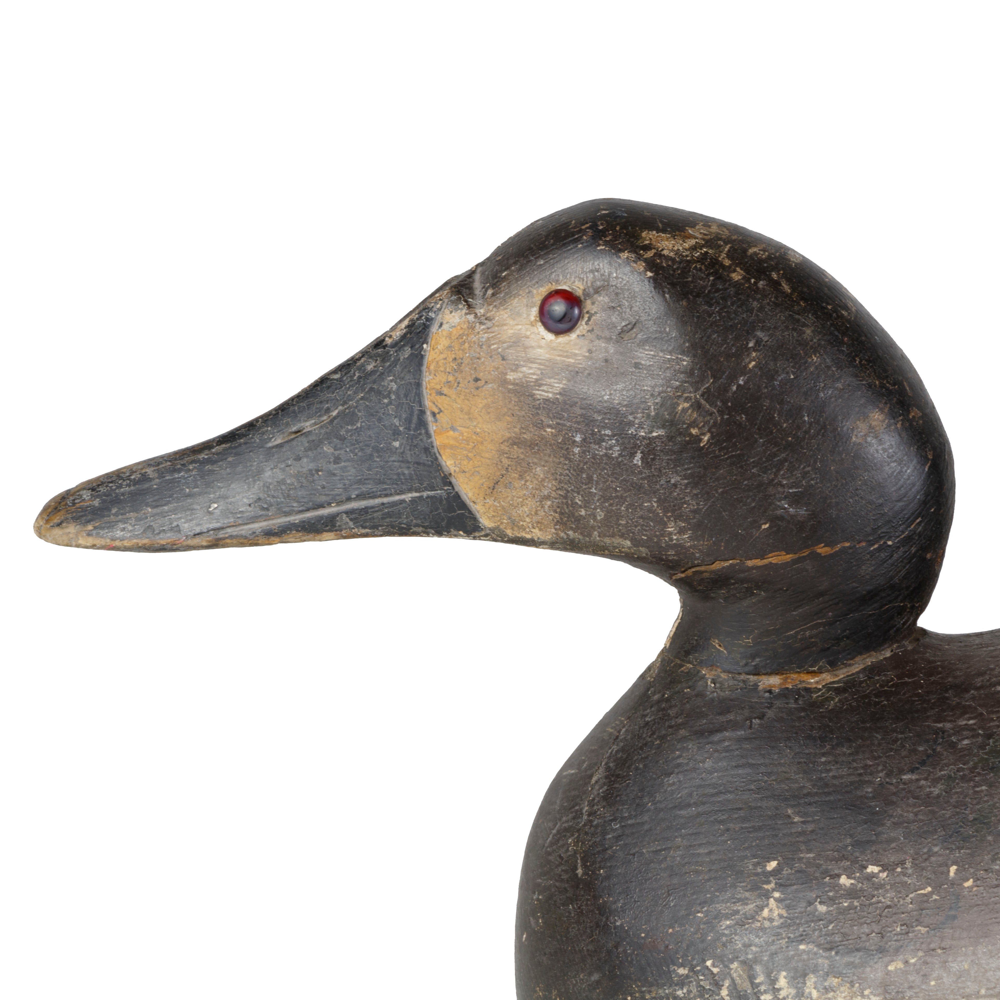 Pratt Canvasback Pair