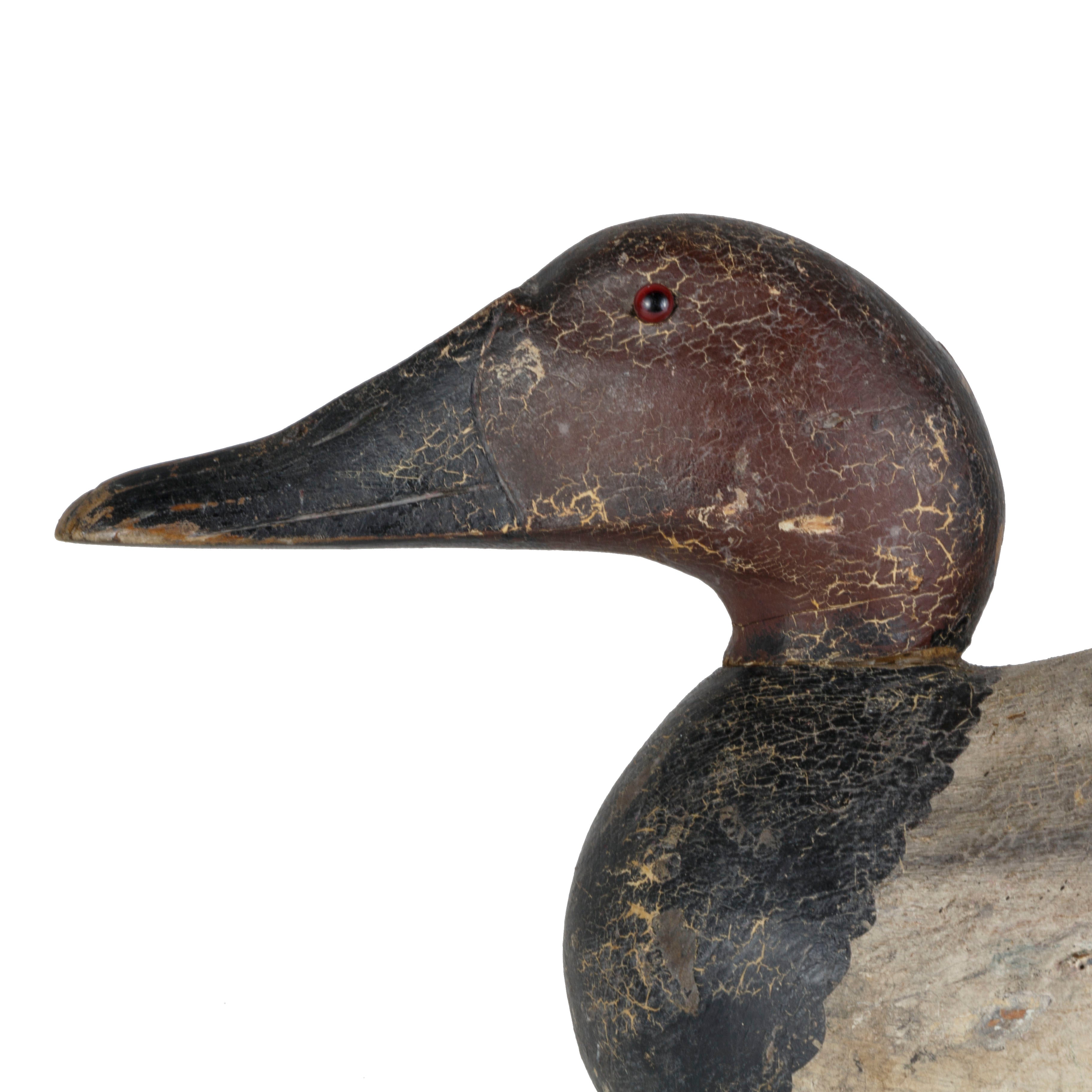 Pratt Canvasback Pair