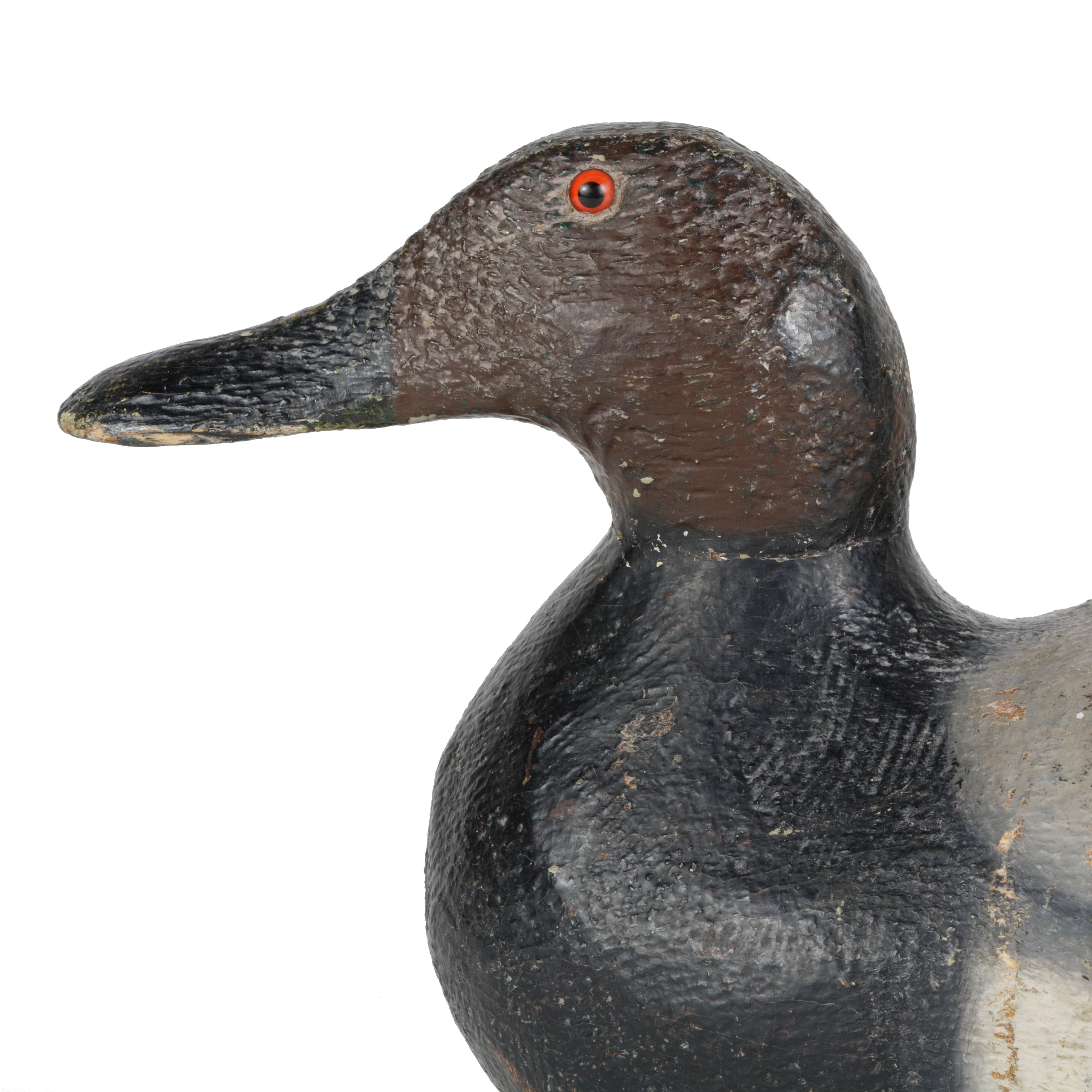 Pratt Canvasback Drake