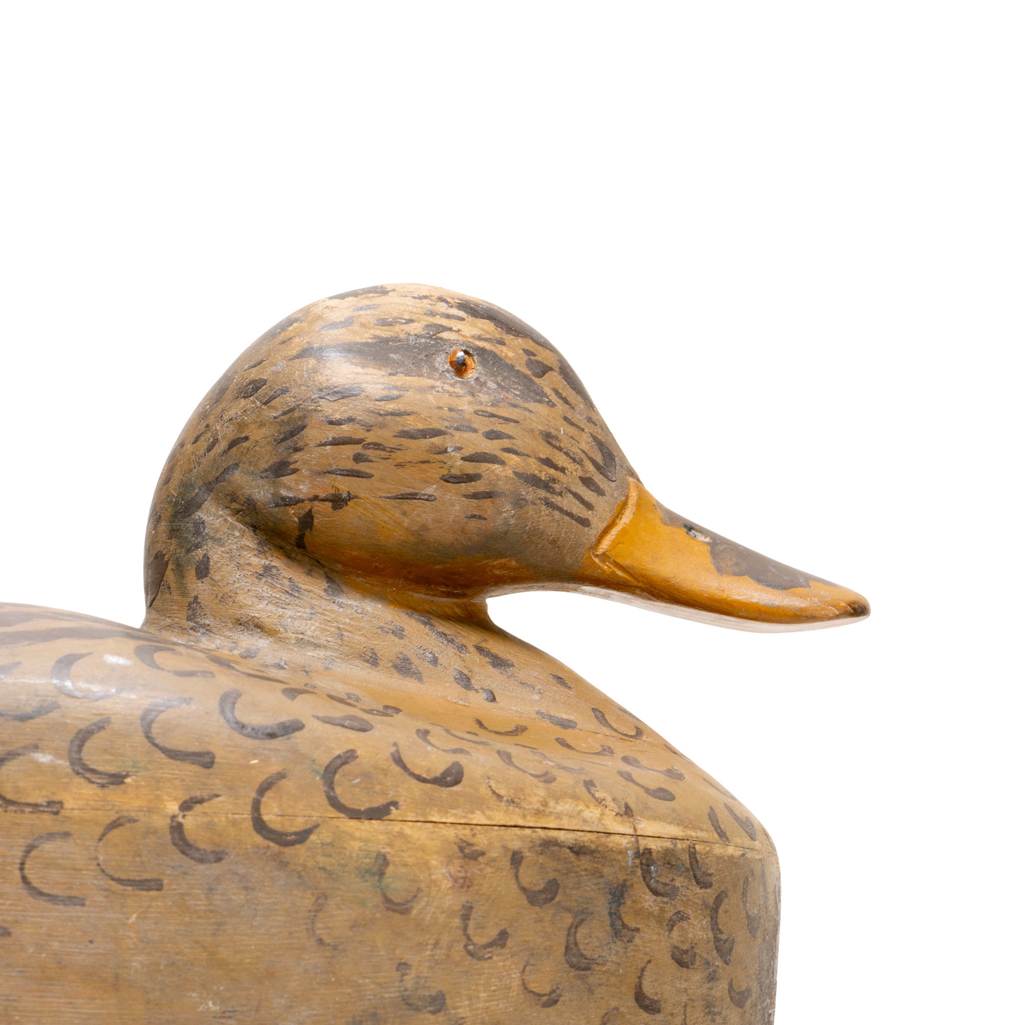 Mallard Pair