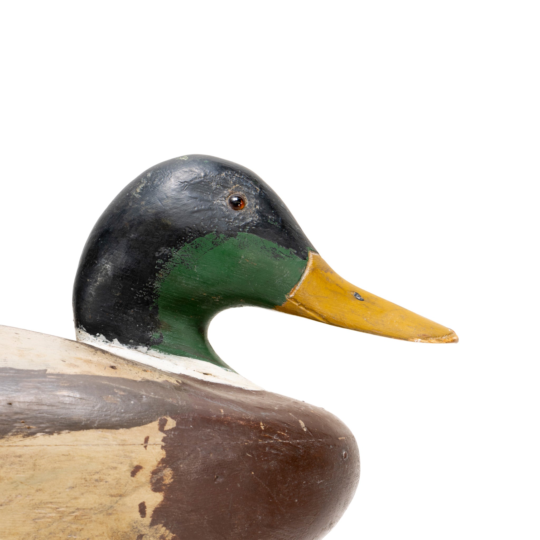 Mallard Pair