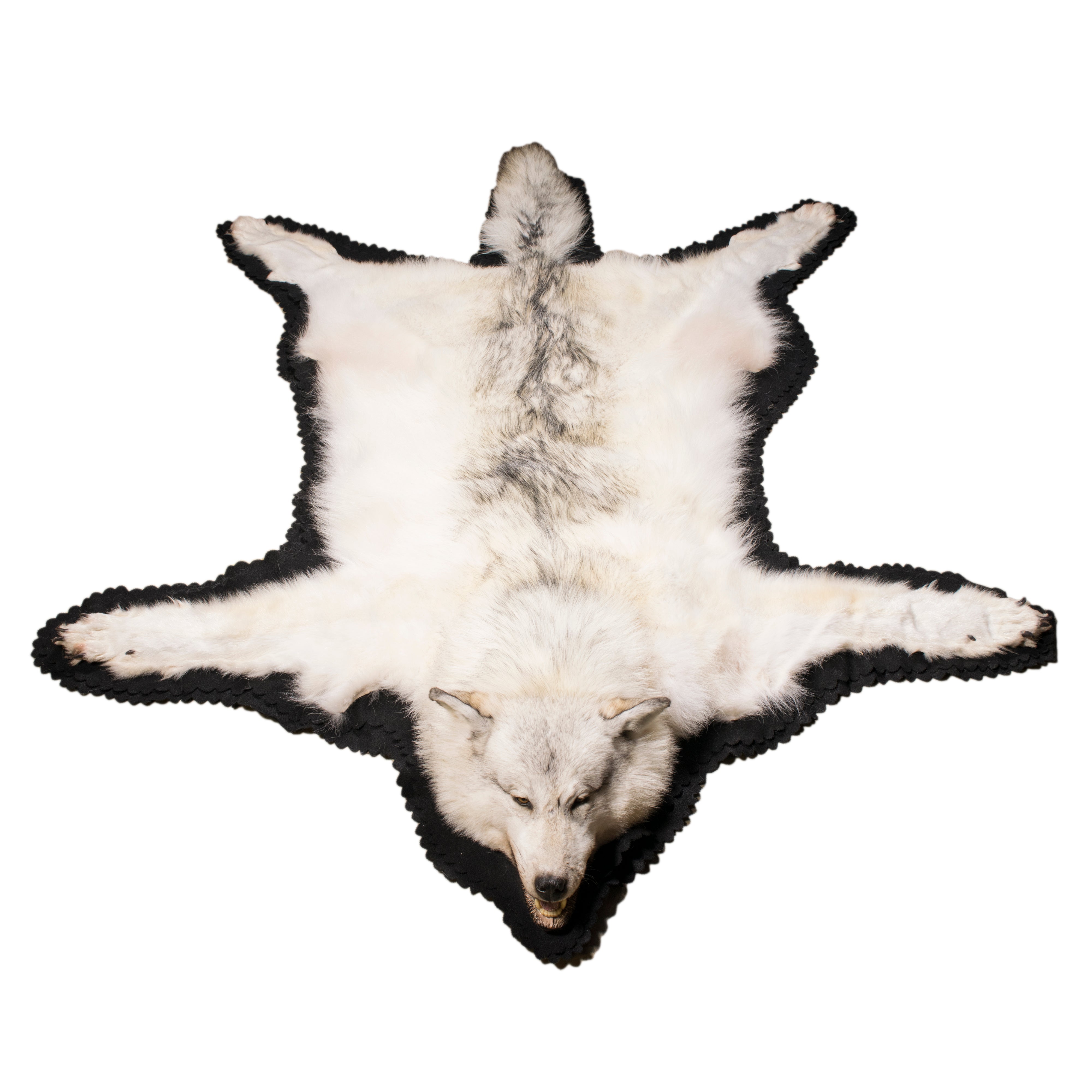 Alaskan Wolf Rug — Cisco's Gallery Alaskan Wolf Rug — Cisco's Gallery