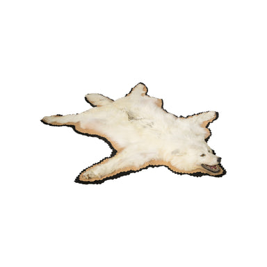 Alaska Timberwolf Rug, Furnishings, Taxidermy, Wolf