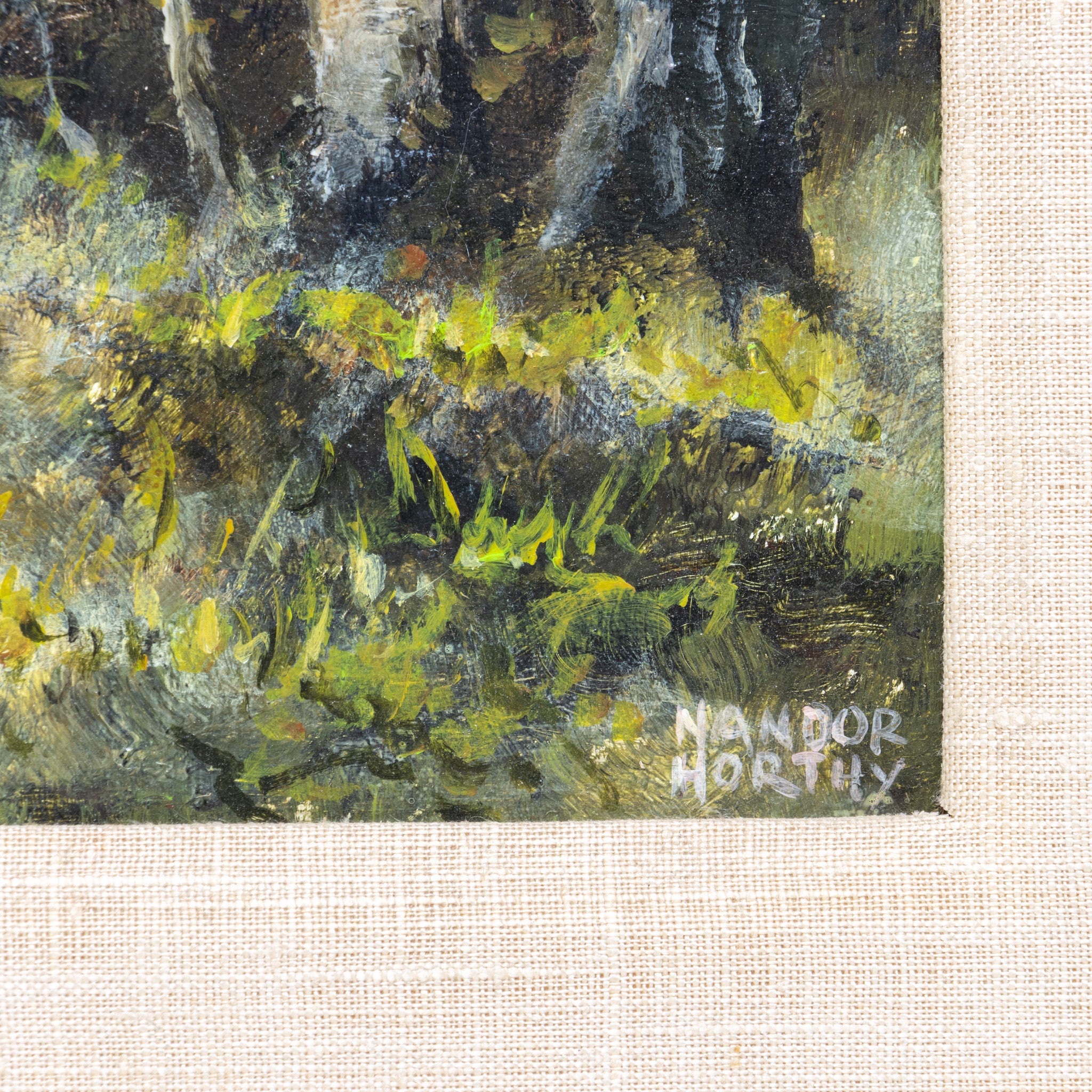 Startled by Nandor Horthy