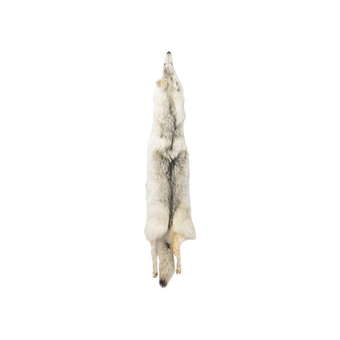 Alaskan Timberwolf Pelt, Furnishings, Taxidermy, Fur