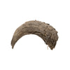 Buffalo Horns