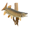 Tiger Muskie Skin Mount