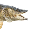 Tiger Muskie Skin Mount
