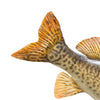 Tiger Muskie Skin Mount