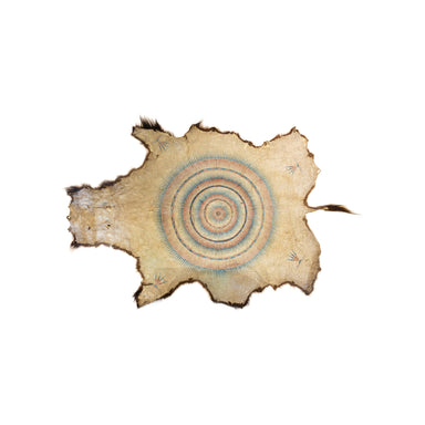 Sioux Pictorial Buffalo Hide, Native, Accessory, Pictorial Hide
