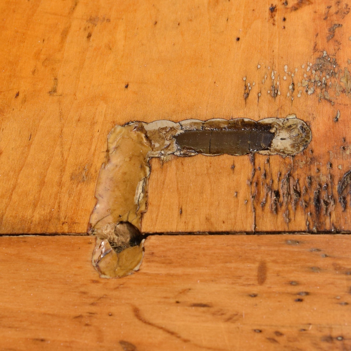 Surveyor's Tripod Table