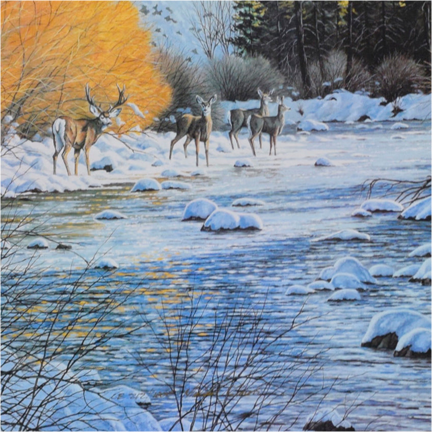 "First Light" by Michael Melander