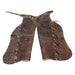 Decorated Batwing Chaps, Western, Garment, Chaps
