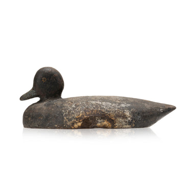 Canvas Back Decoy, Sporting Goods, Hunting, Waterfowl Decoy