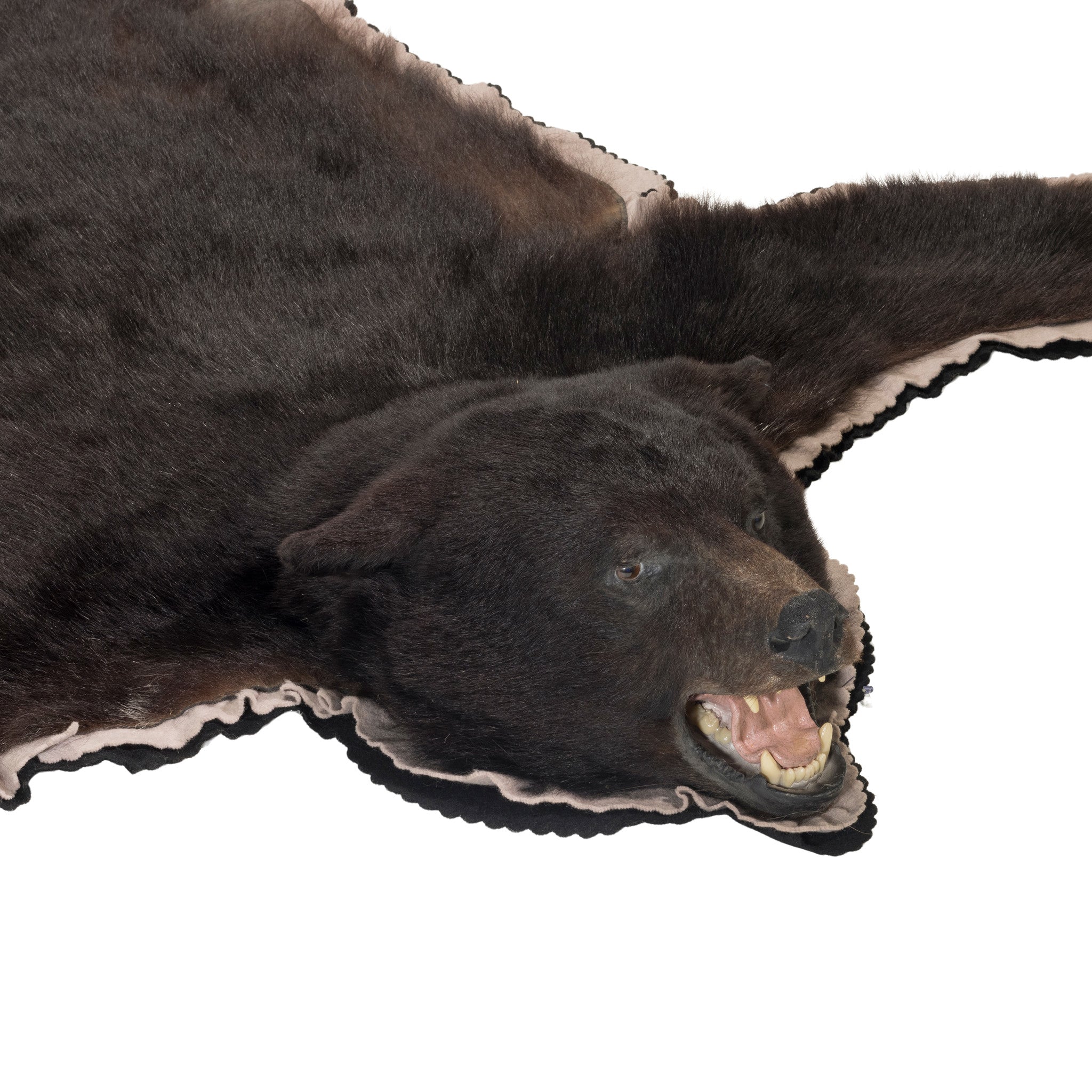 Idaho Black Bear Rug