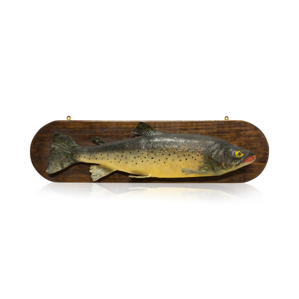 Ranch Trout, Furnishings, Taxidermy, Fish
