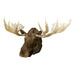 72" Yukon Moose, Furnishings, Taxidermy, Moose