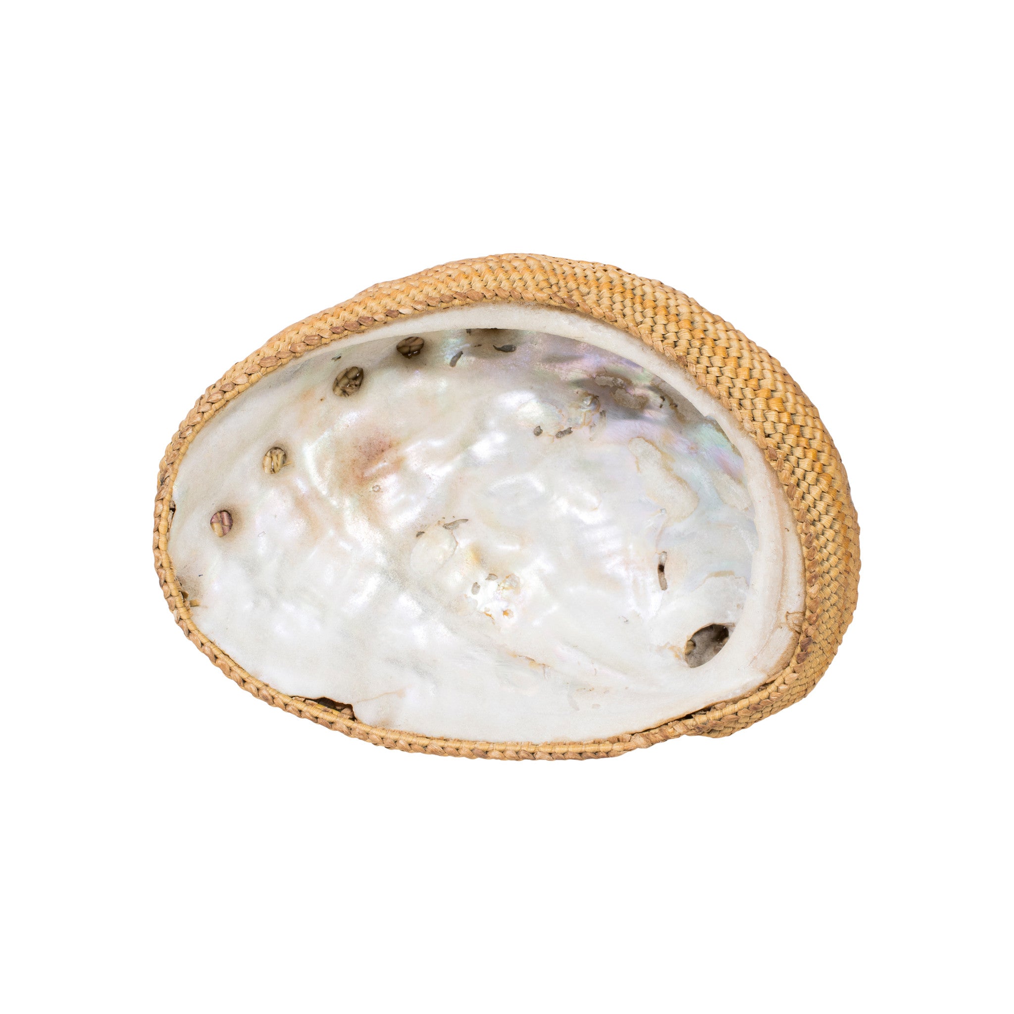 Makah Basket Over Seashell