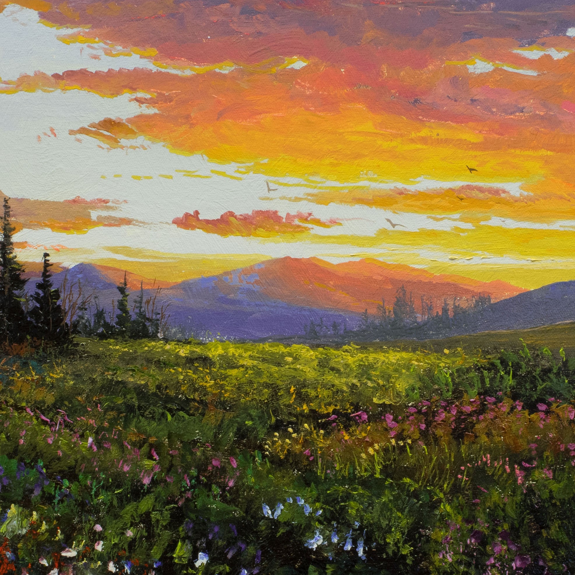 Sunset and Flowers - Summer by Thomas deDecker