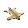 Cougar Rug, Furnishings, Taxidermy, Cougar