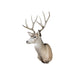 Mule Deer Buck, Furnishings, Taxidermy, Deer