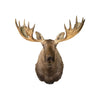 Moose Shoulder Mount