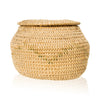 Shoshone//Bannock Lidded Basket, Native, Basketry, Vertical
