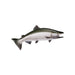 Alaskan King Salmon, Furnishings, Taxidermy, Fish