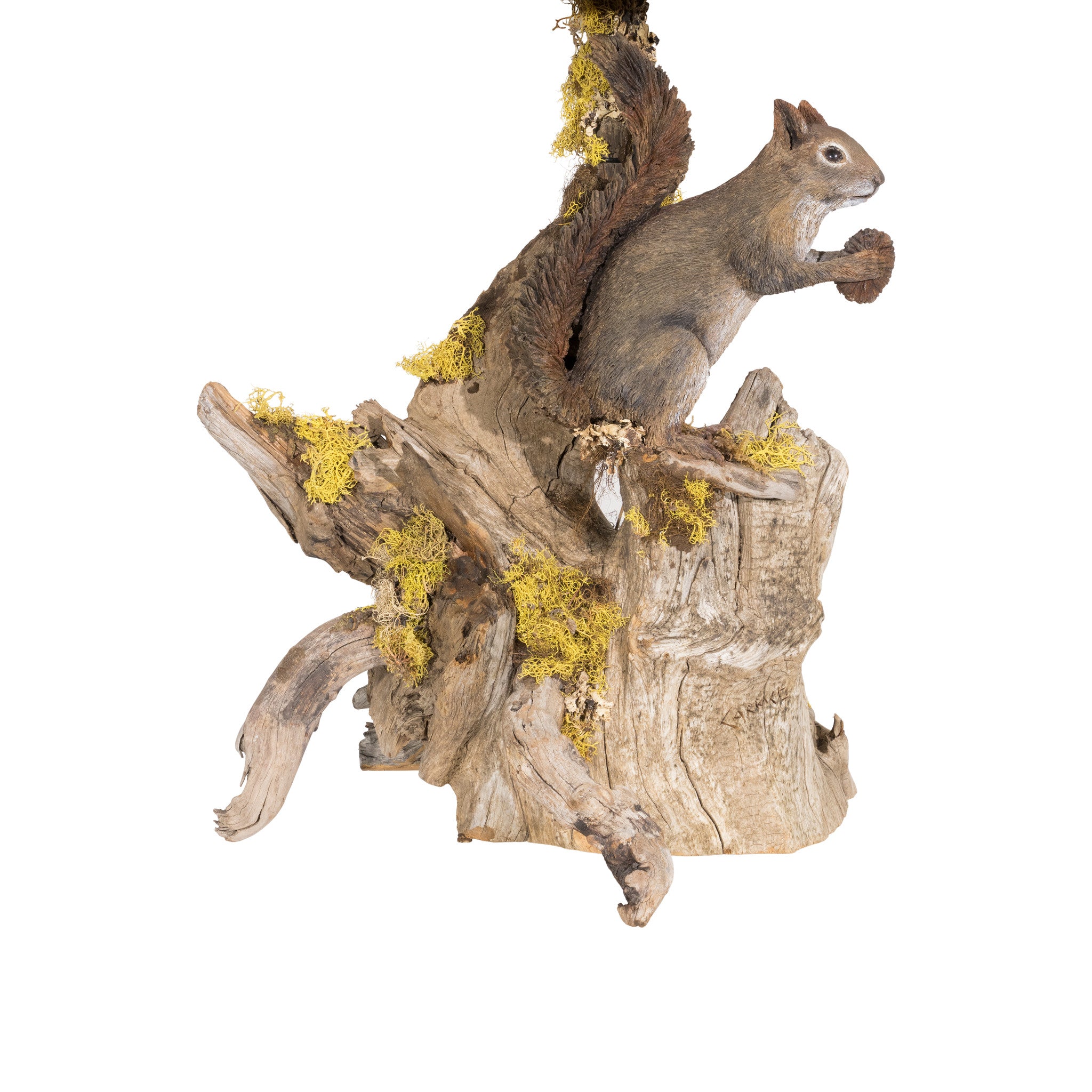 Grey Squirrel Table Lamp
