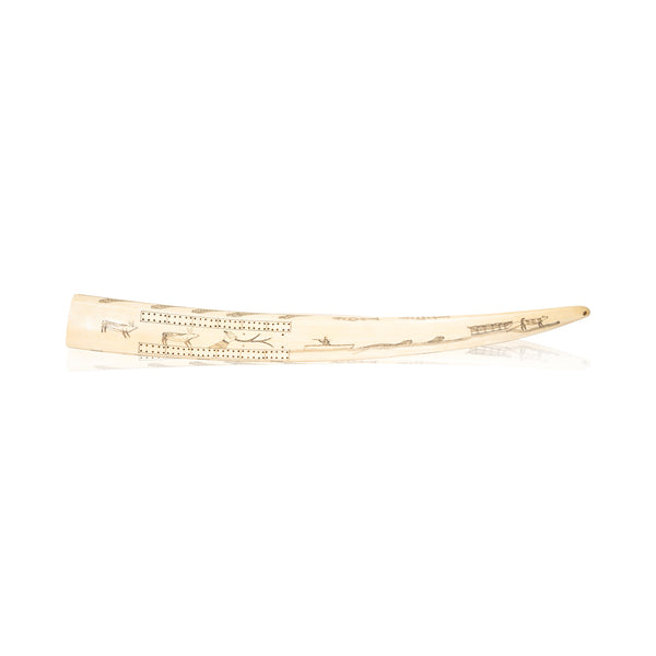 Inuit Walrus Tusk Cribbage Board, Native, Carving, Ivory