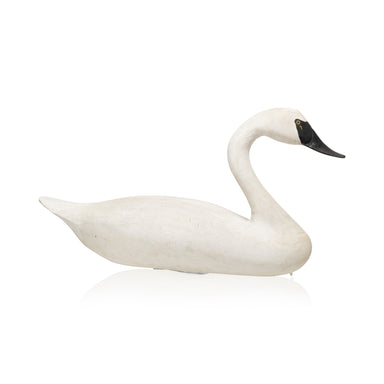 Life Size Trumpeter Swan Decoy, Sporting Goods, Hunting, Waterfowl Decoy