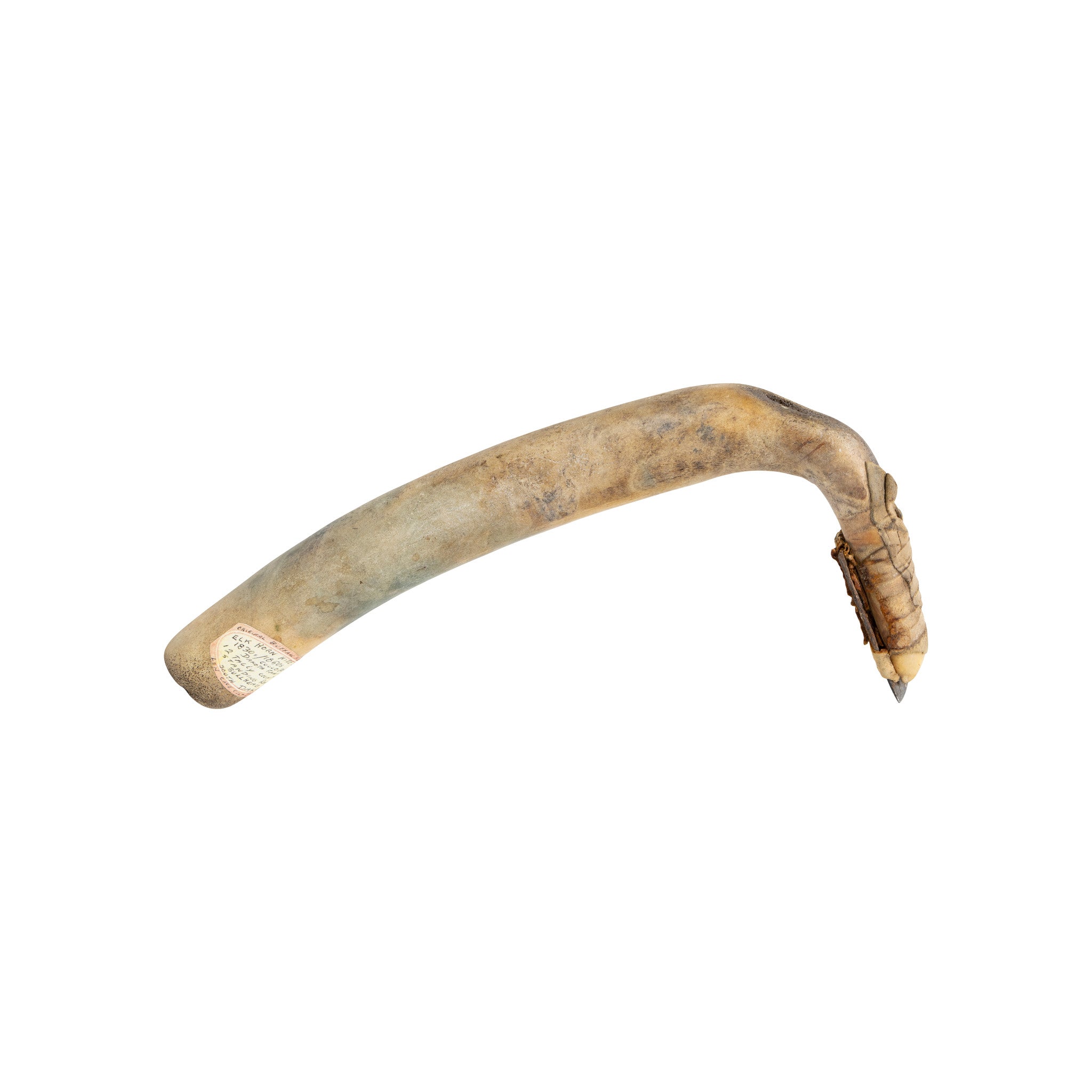Plains Elk Horn Hide Scraper, Native, Stone and Tools, Bone