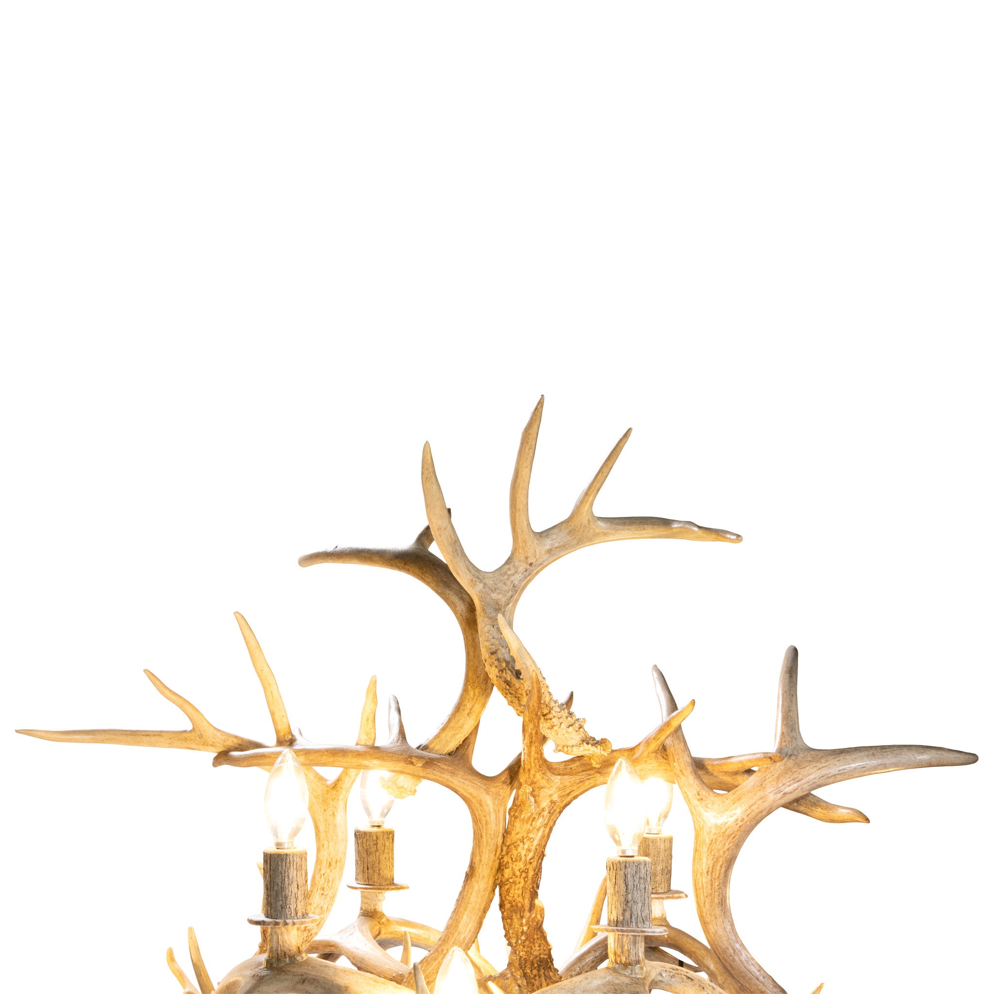 Whitetail Royale Isle Chandelier