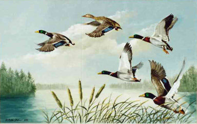 "Take Off" by Peter Darro, Fine Art, Painting, Wildlife