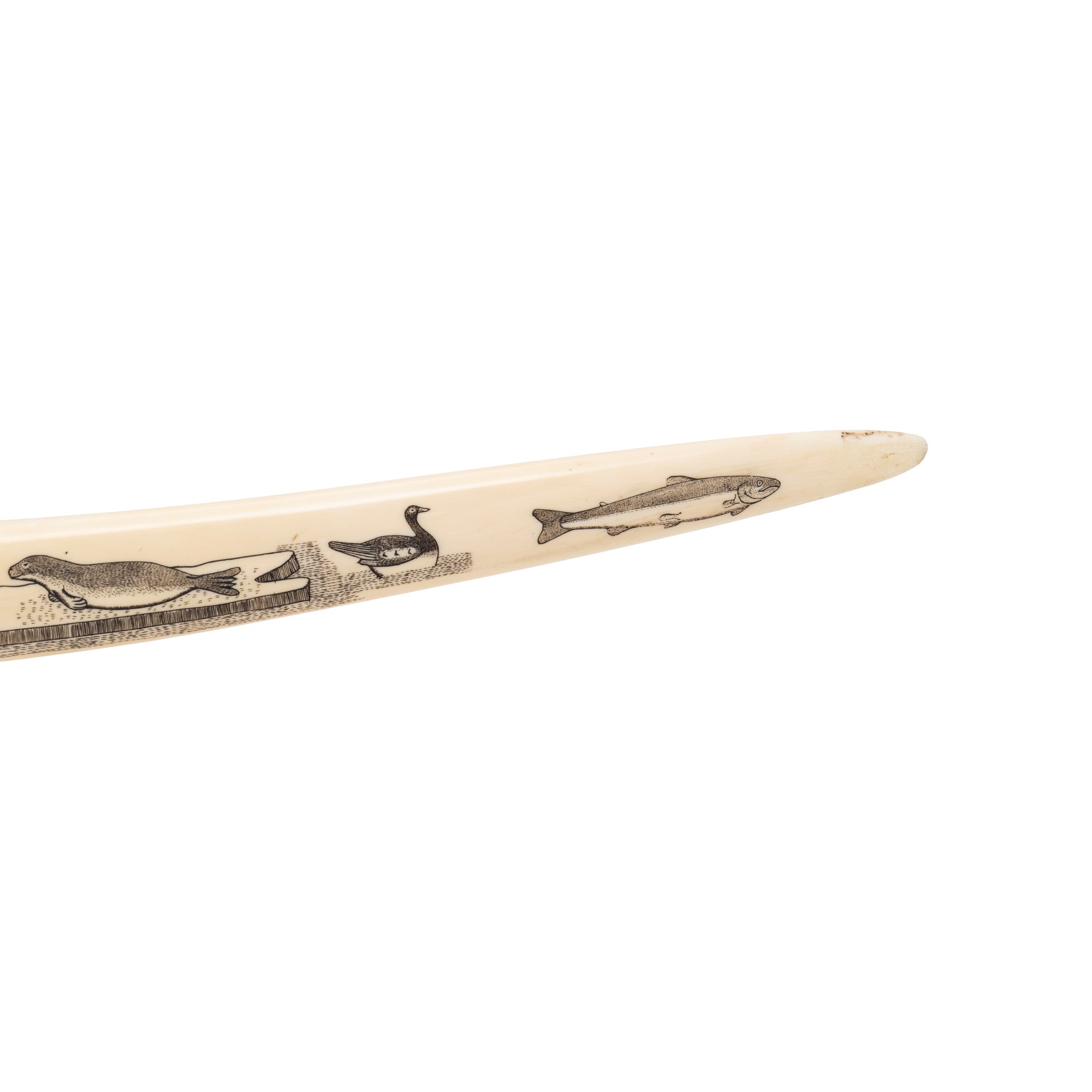 Inuit Scrimshawed Cribbage Board