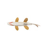 Realistic Spearfish Decoy
