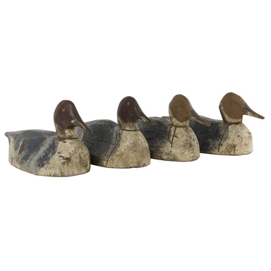 Rig of Four Pintail Decoys, Sporting Goods, Hunting, Waterfowl Decoy
