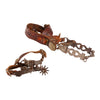 Matched Pair of Bit and Spurs, Western, Horse Gear, Bit