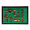 Fossilized Teeth Used for Money, Native, Stone and Tools, Bone