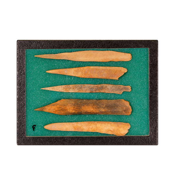 Splinter Bone Awls, Native, Stone and Tools, Bone