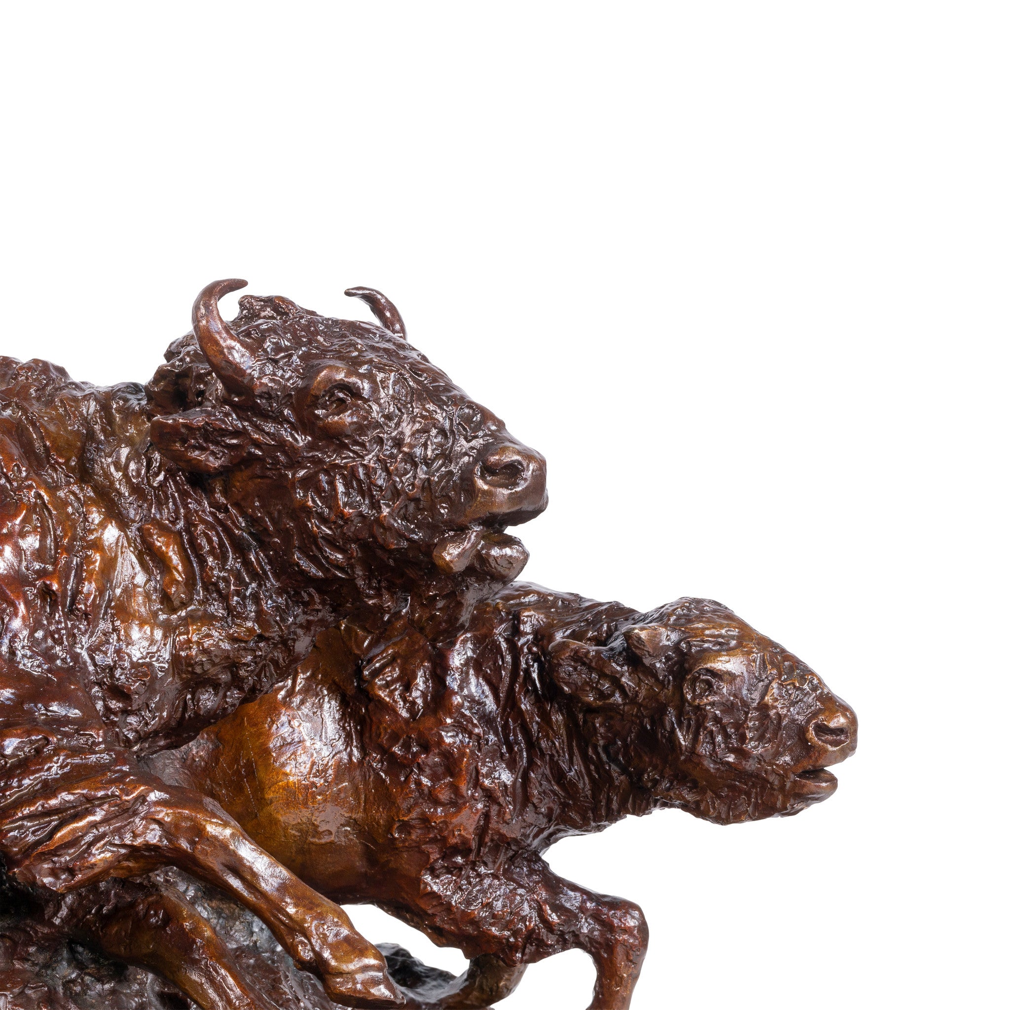 "The Buffalo Runner" Bronze by Robert Scriver