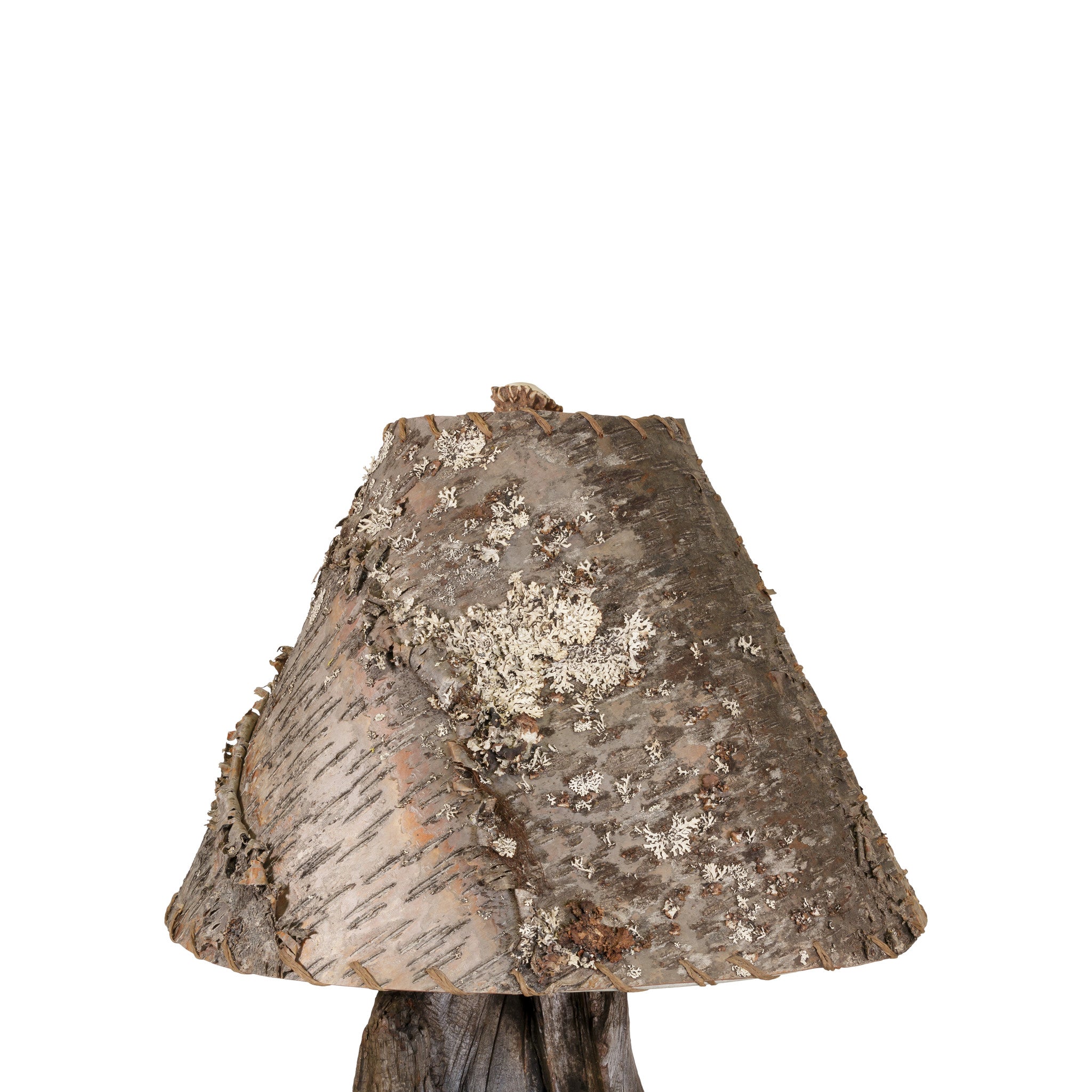 Raccoon Table Lamp