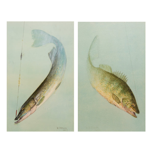 Pair of Hooked Fish Watercolors by William B. Gillette, Fine Art, Painting, Wildlife